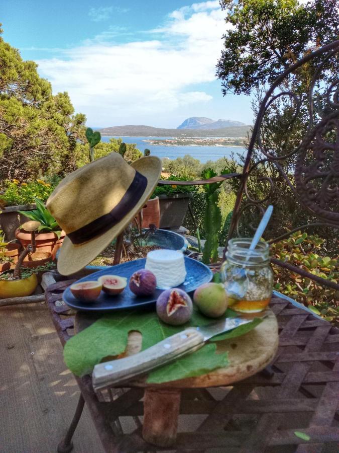 Villa Khepri Porto Rotondo Εξωτερικό φωτογραφία
