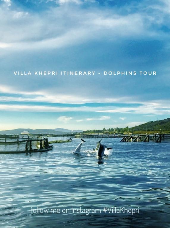 Villa Khepri Porto Rotondo Εξωτερικό φωτογραφία