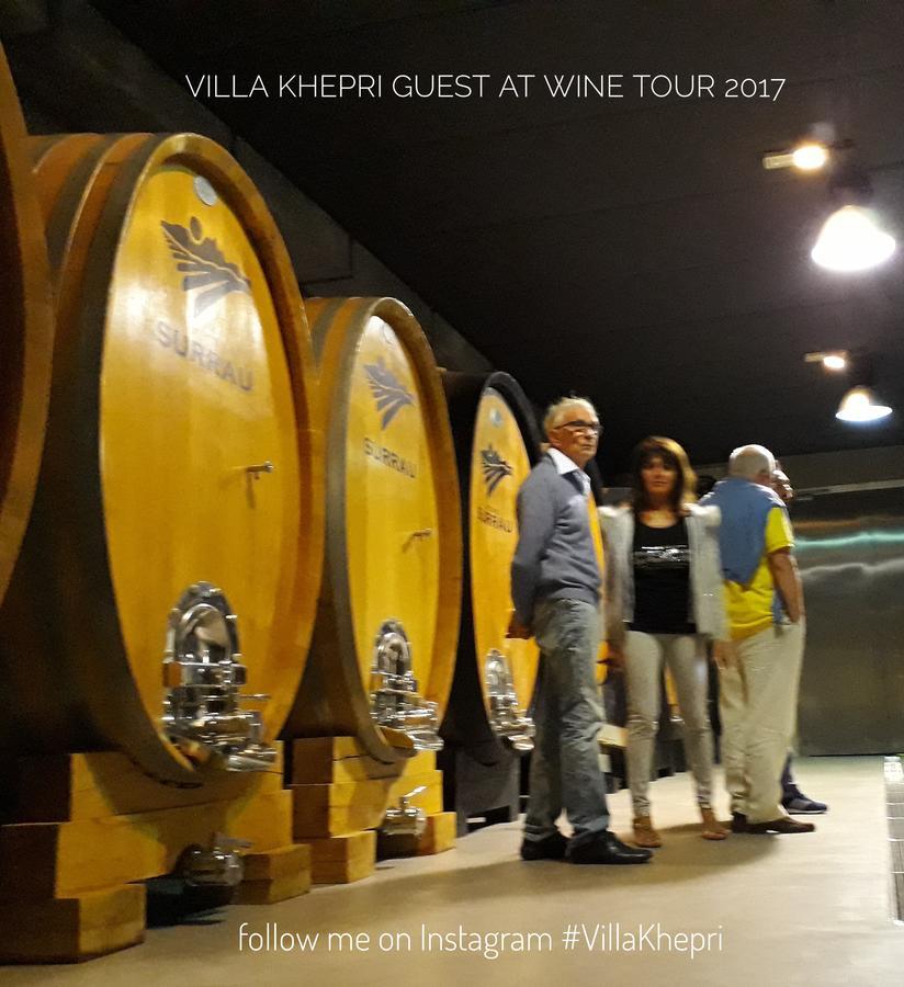 Villa Khepri Porto Rotondo Εξωτερικό φωτογραφία